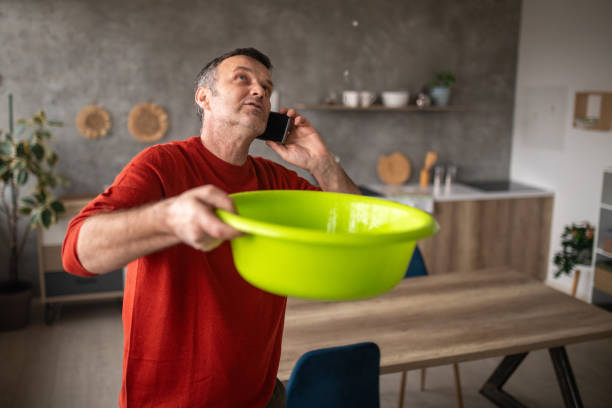 Best Roof Maintenance and Cleaning  in Tallapoosa, GA