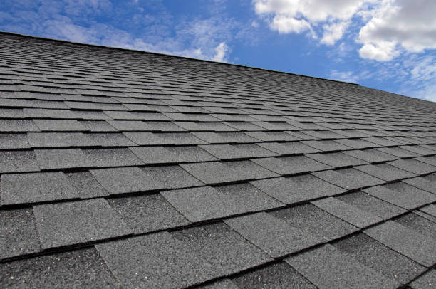 Best Rubber Roofing (EPDM, TPO)  in Tallapoosa, GA